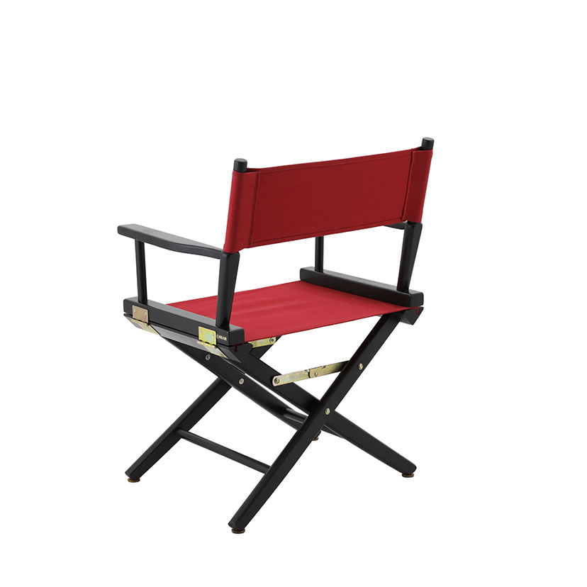 Director chair