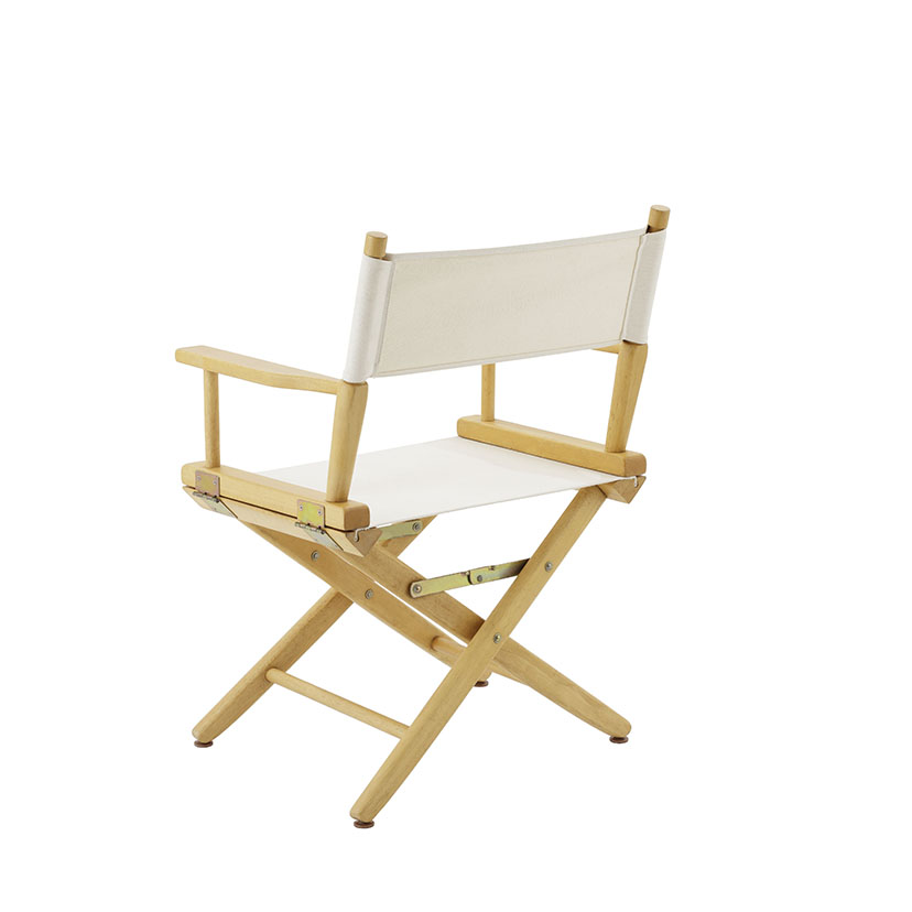 Director chair