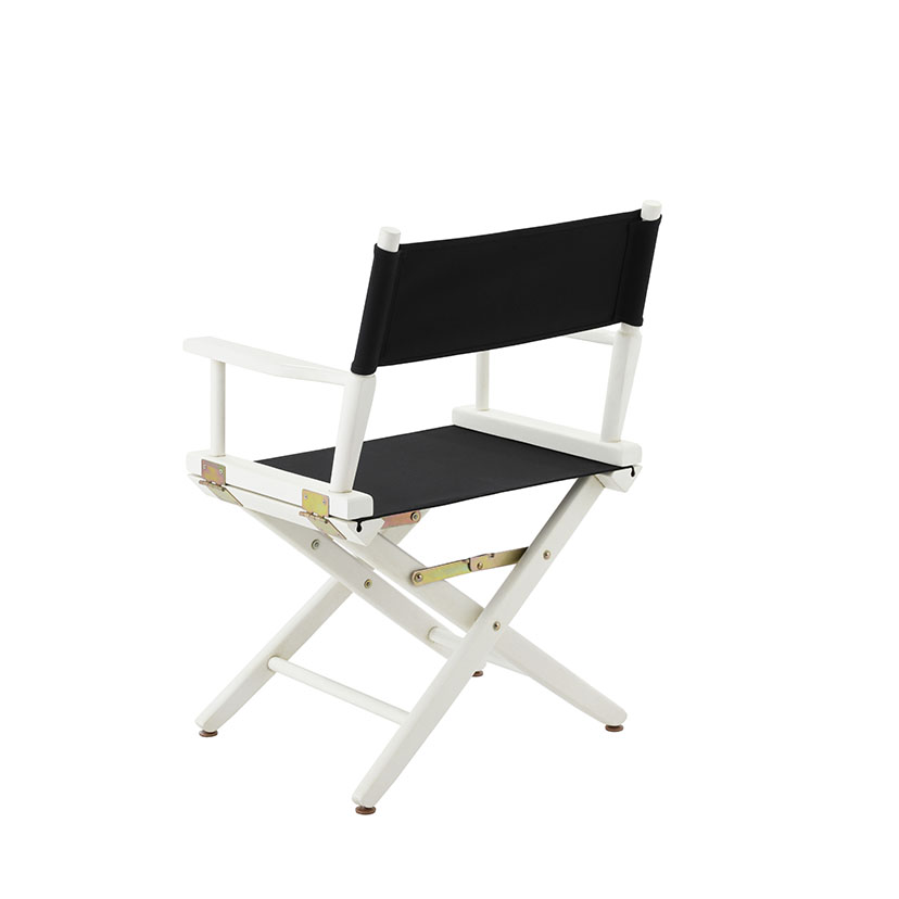 Director chair